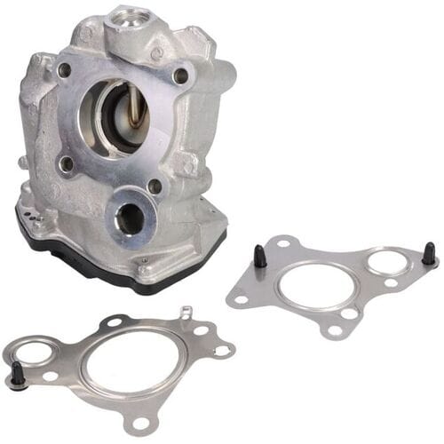 EGR-klep BORG WARNER 712019D