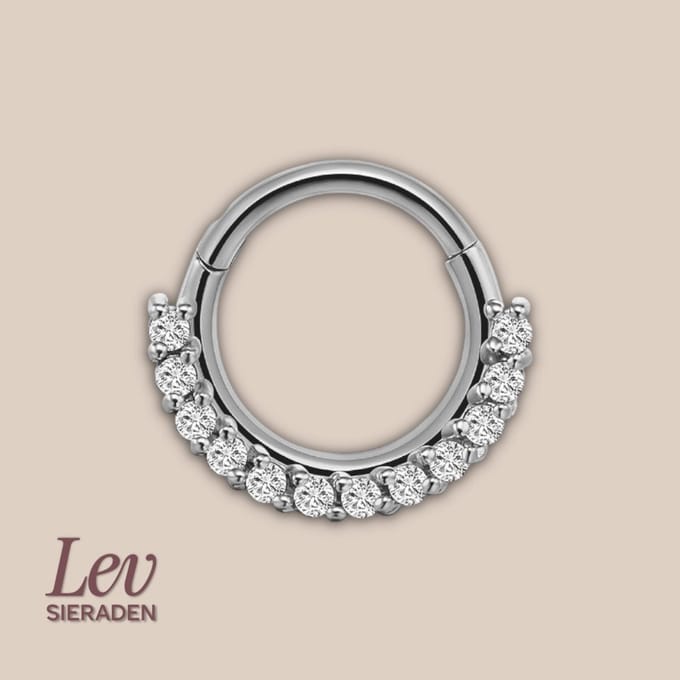 Lev Sieraden - Titanium premium neus ring - 12 zirkonia segment ring - 1.2x8mm - Zilver - segment ring - neuspiercing - tragus piercing - Oorpiercing