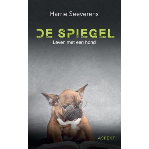 De Spiegel - Harrie Seeverens
