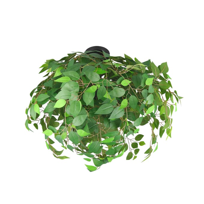 Reality Leuchten Leavy plafondlamp, zwart/groen, Ø 70 cm, E14, 3-lamps