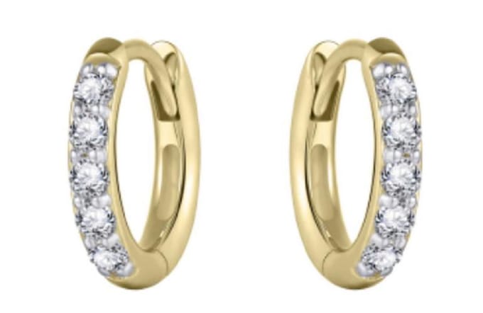 Schitterende 14K Gouden Oorringen belegd met Zirkonia's