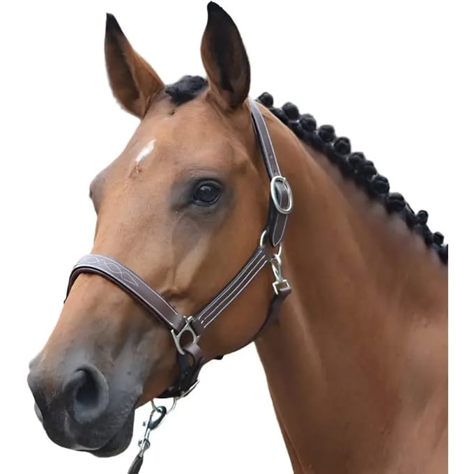 Halster voor paarden Jump'In Fancy