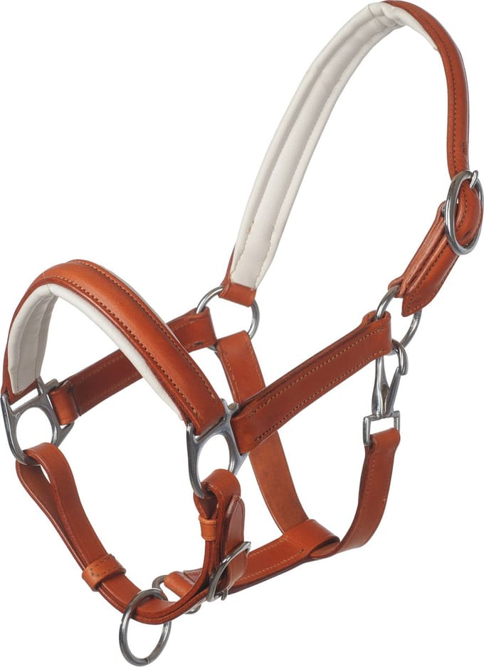 MHS Leren Halster Mocca Mini Jaarling Bruin-Wit