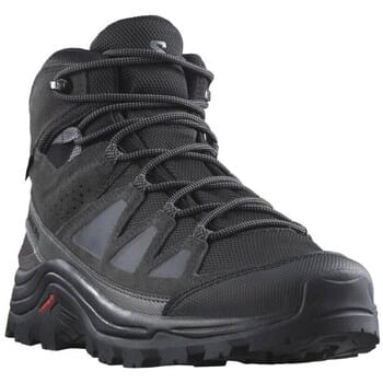 Wandelschoenen Salomon Quest Rove Mid Gtx
