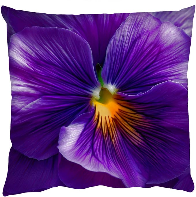 Sierkussens - Kussentjes Woonkamer - 45x45 cm - Paars - Viool - Diepte
