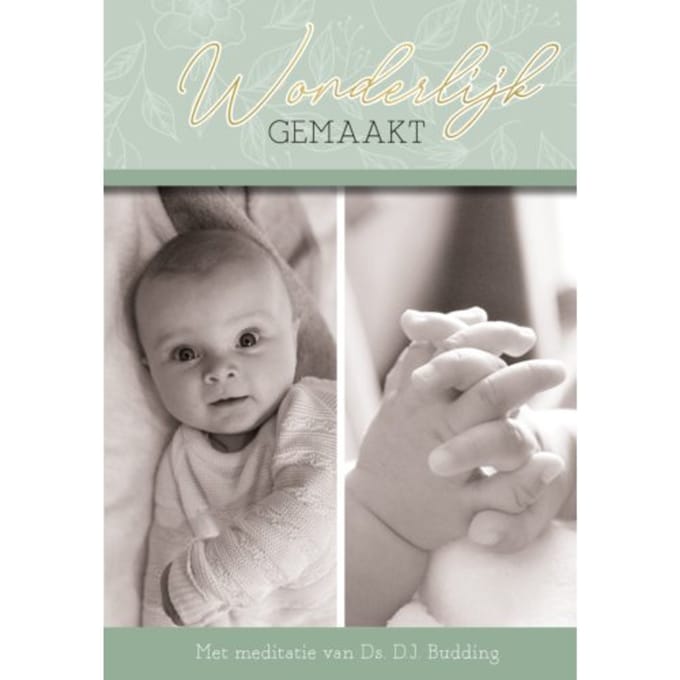 Wonderbaarlijk Gemaakt - D.J. Budding