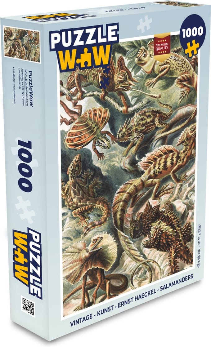 Puzzel Vintage - Kunst - Ernst Haeckel - Salamanders - Dieren - Legpuzzel - Puzzel 1000 stukjes volwassenen