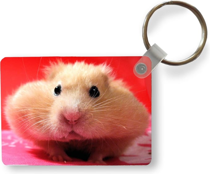 Sleutelhanger - Close-up hamster - Uitdeelcadeautjes - Plastic