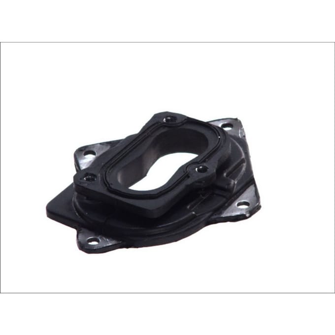 Topran Flens, carburateur HANS PRIES 100 728