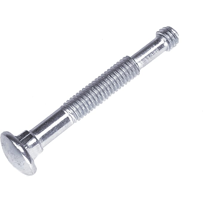 Screw