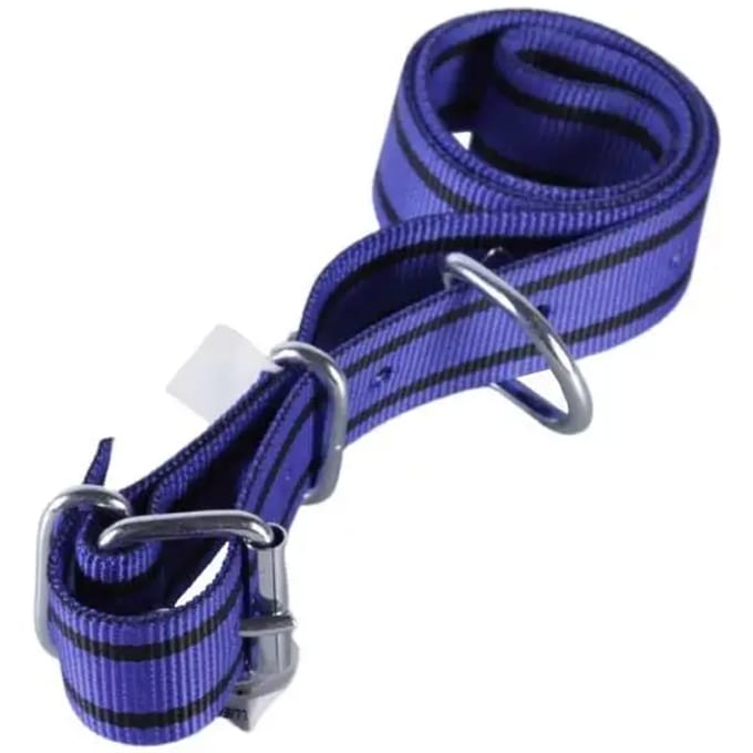 Dubbele nylon halsband voor vee Kamer