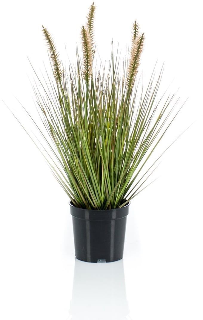 Emerald - Kunstplant Pennisetum Gras 45cm - Kunstplant voor binnen