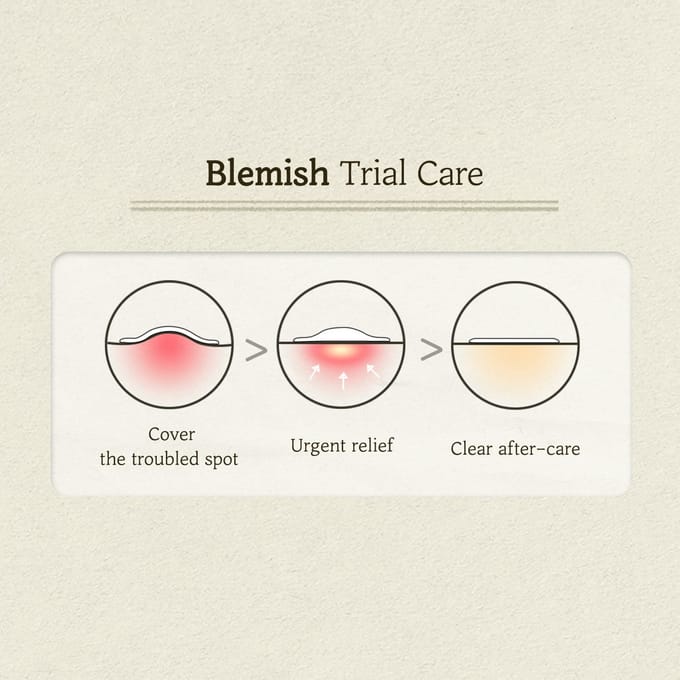 SKINFOOD Cica Clear Spot Patch 100 patch beige