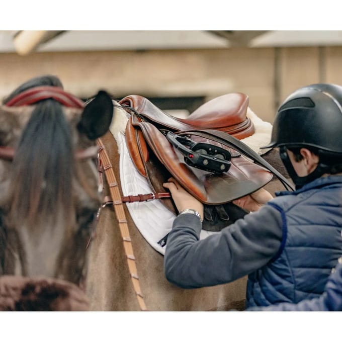 Tapis de CSO semi-doublé VS KM Elite Teddy