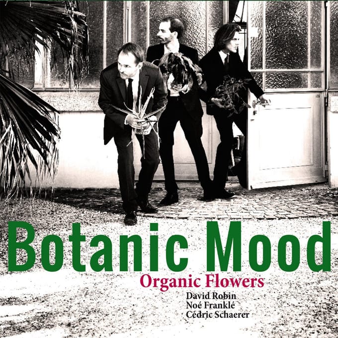 Organic Flowers - Botanic Mood (LP)