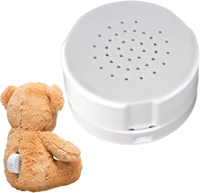 Mini spraakrecorder - Geluidsbox opnameapparaat - Gepersonaliseerde geschenken - 60 seconden opname - 45 mm diameter - Wit