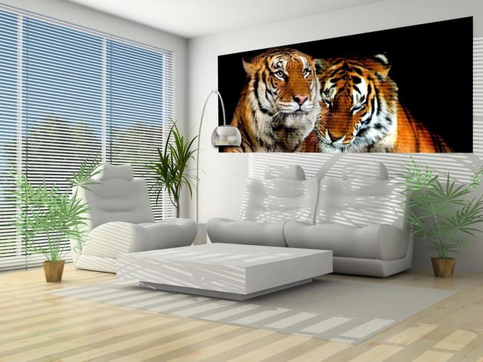 Tigers Photo Wallcovering