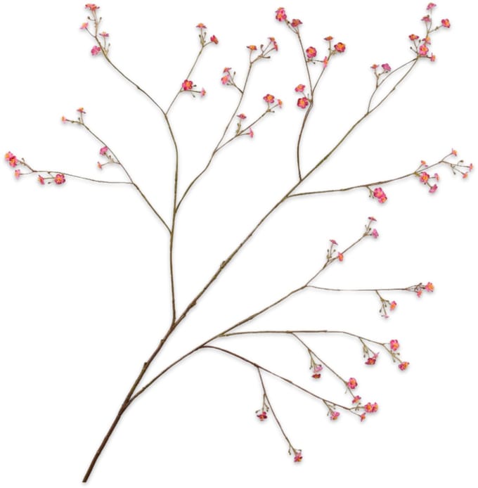 Vergeetmeniet tak beauty 132 cm