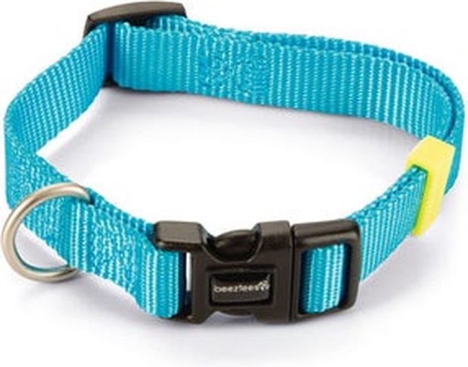 Beeztees hondenhalsband Uni lichtblauw 48-70 x 2,5 cm