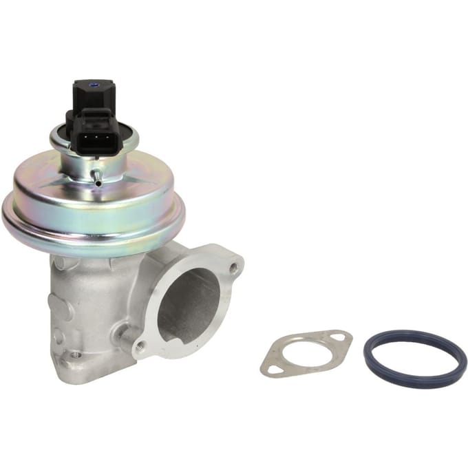 EGR-klep DELPHI EG10449