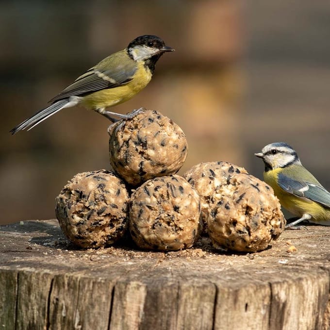 CJ Wildlife - 6x 80g Vetbollen Suprême - Zonder netje - Extra groot - Premium energie