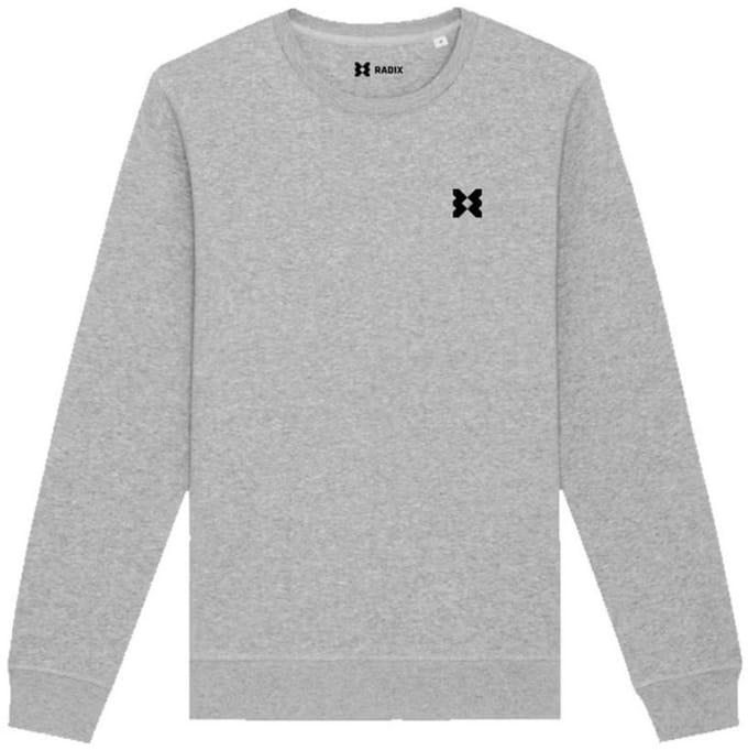 Radix - Trui - Heren - Kleur Grijs - Maat S - Met borstlogo
