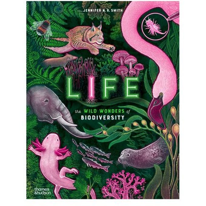 Life - Wild Wonders - Jennifer N. R. Smith