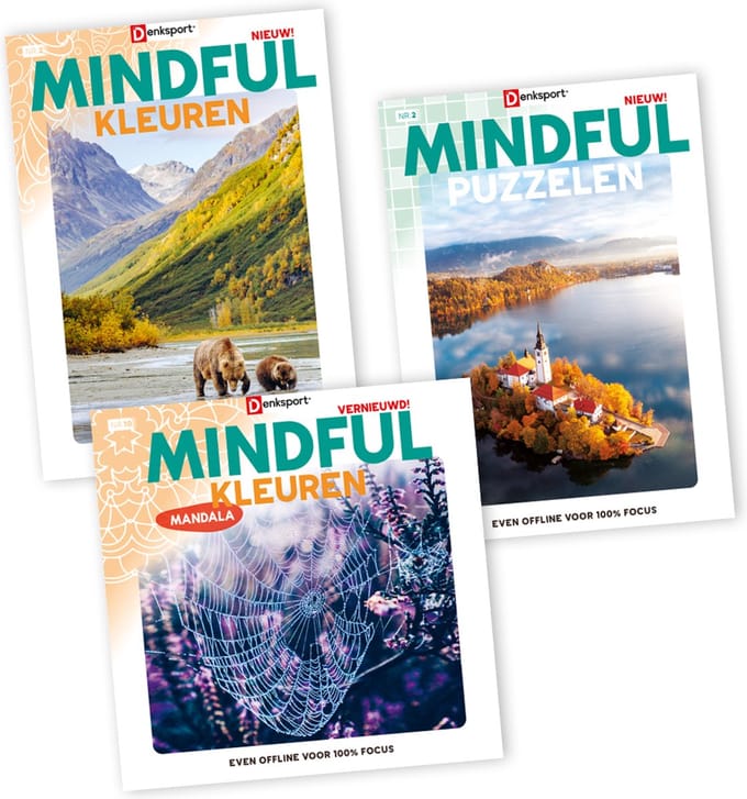 Denksport MINDFUL puzzelboek pakket 1