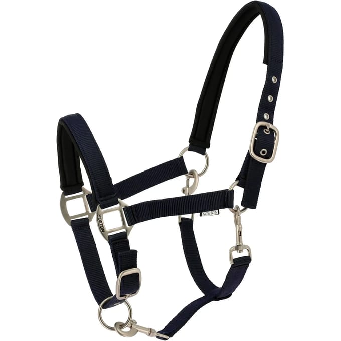 Halster voor paarden Norton Nacre