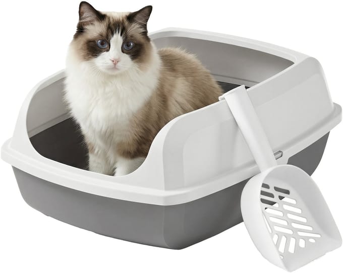 Feandrea - Kattenbak - Met Hoge Zijkanten - Open Ontwerp - Inclusief Schepje