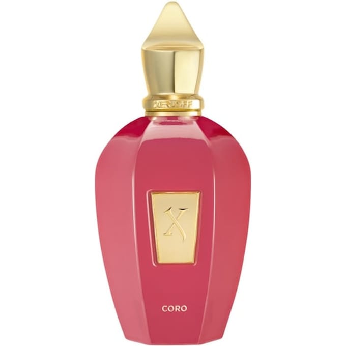 XERJOFF Vibe Collection Eau de Parfum Spray Damesparfum Unisex 100 ml