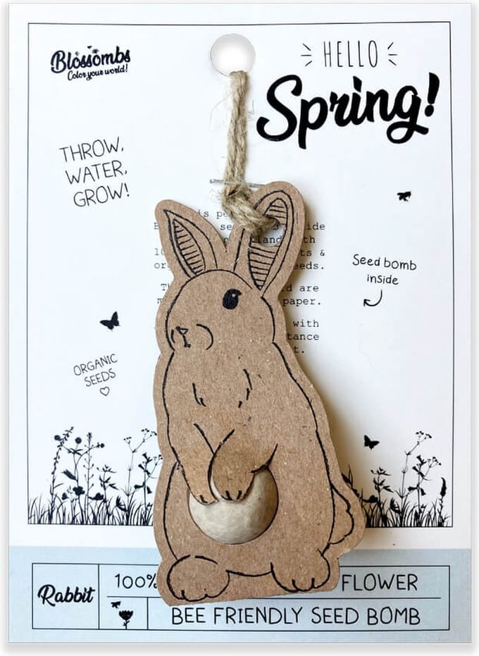 Blossombs Wenskaart met Zaadbom - Hello Spring! - Hanger met Bloembommetje