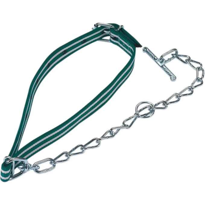 Standaard kuitklem met ketting Kerbl