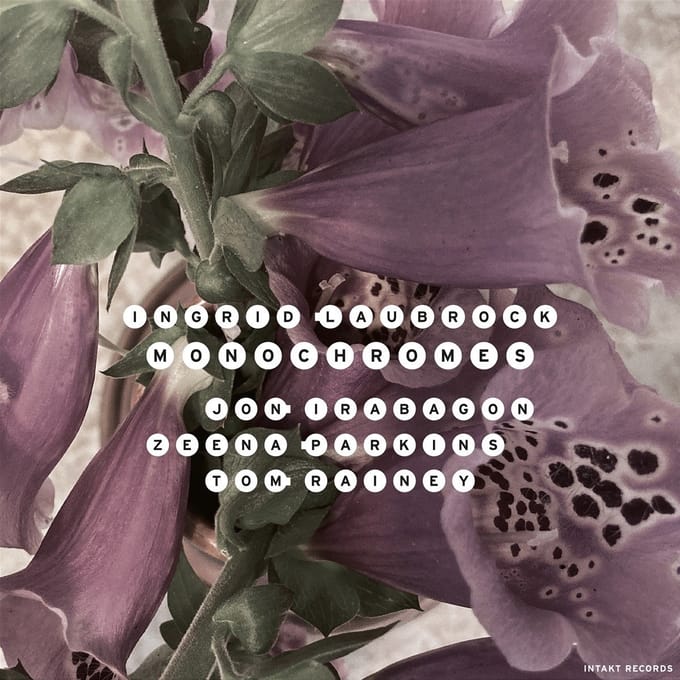 Ingrid Laubrock, Jon Irabagon, Tom Rainey - Monochromes (CD)