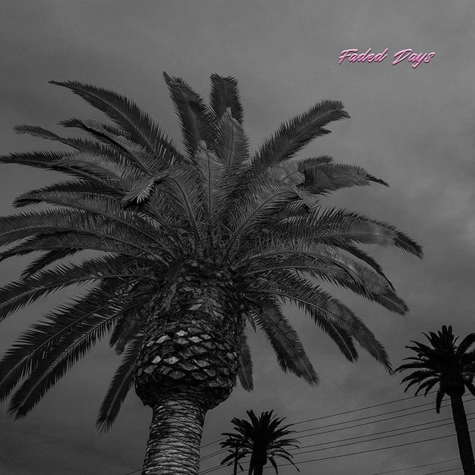 Faded Days - Actual Wolf