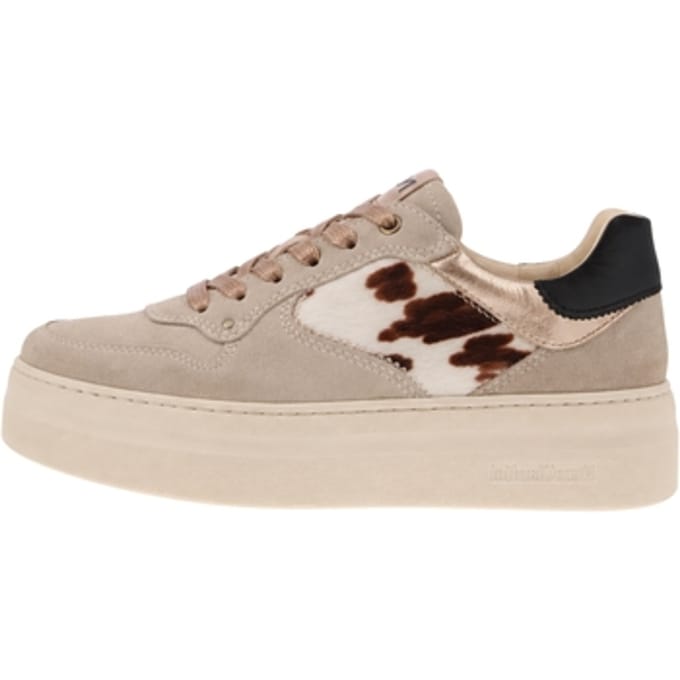 Lage Sneakers NeroGiardini I617480D