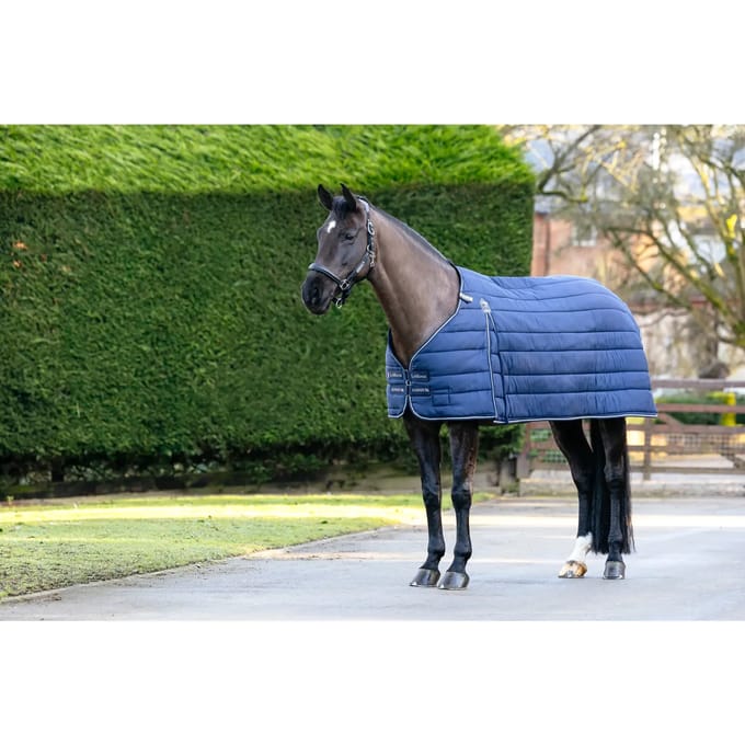 Undercover voor paarden LeMieux Kudos 50g