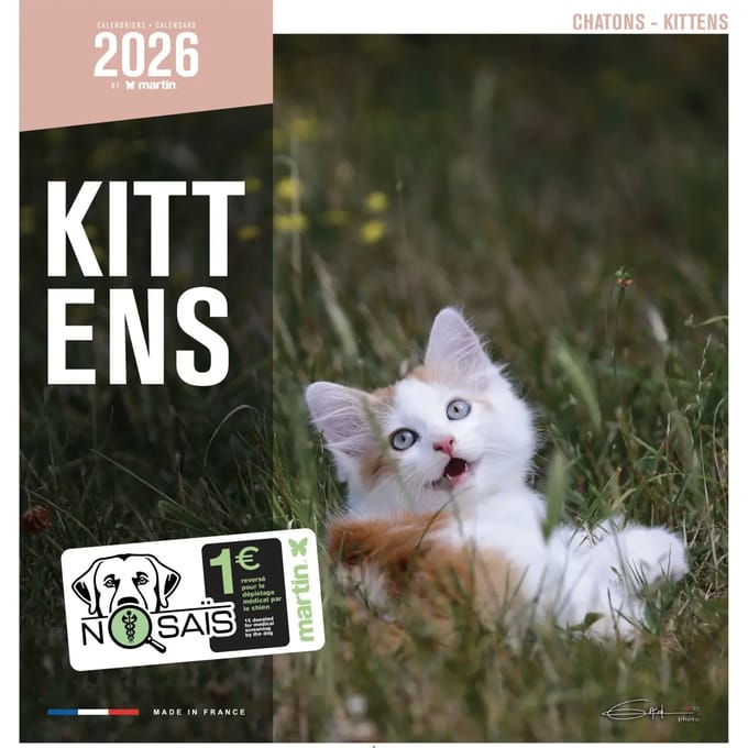 Kalender Martin Sellier Chatons