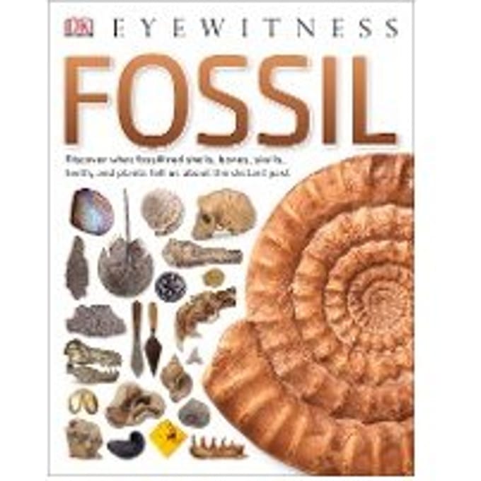 Fossil - DK