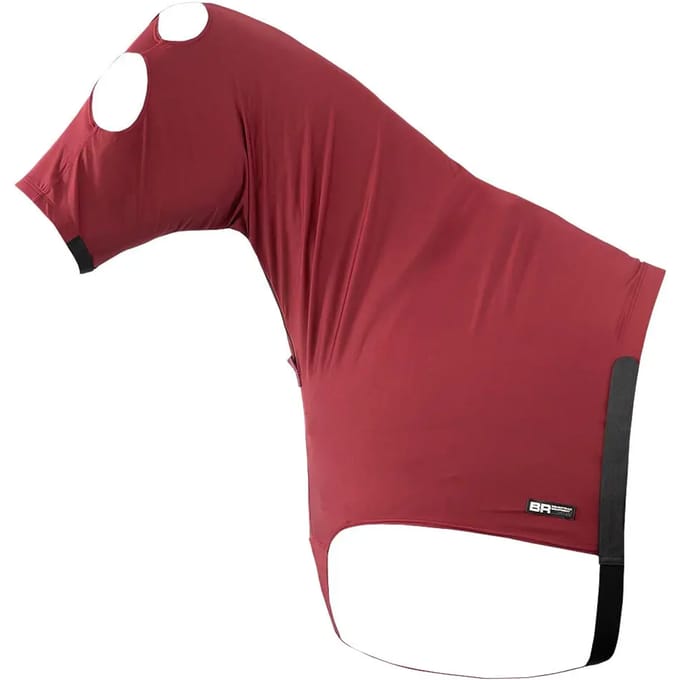 Nekbescherming voor paarden BR Equitation Lycrawear
