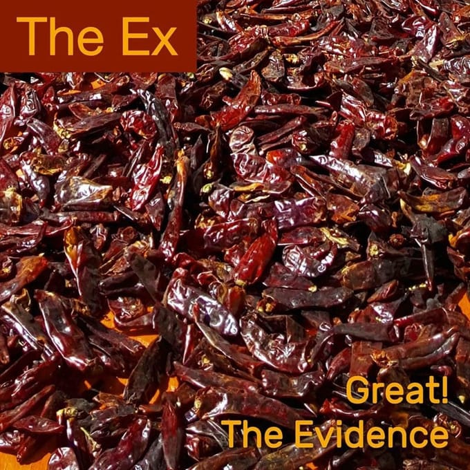 The Ex - Great! (7" Single)