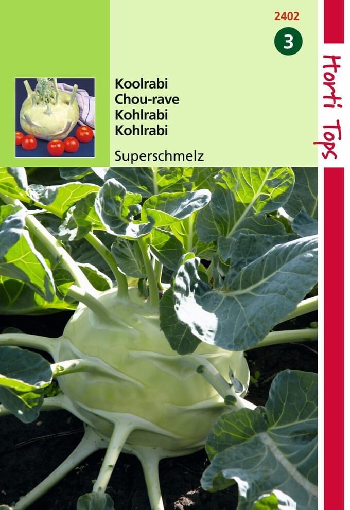 2 stuks Hortitops Koolrabi Superschmelz