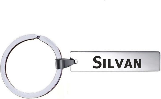 Sleutelhanger Met Naam - Silvan - RVS