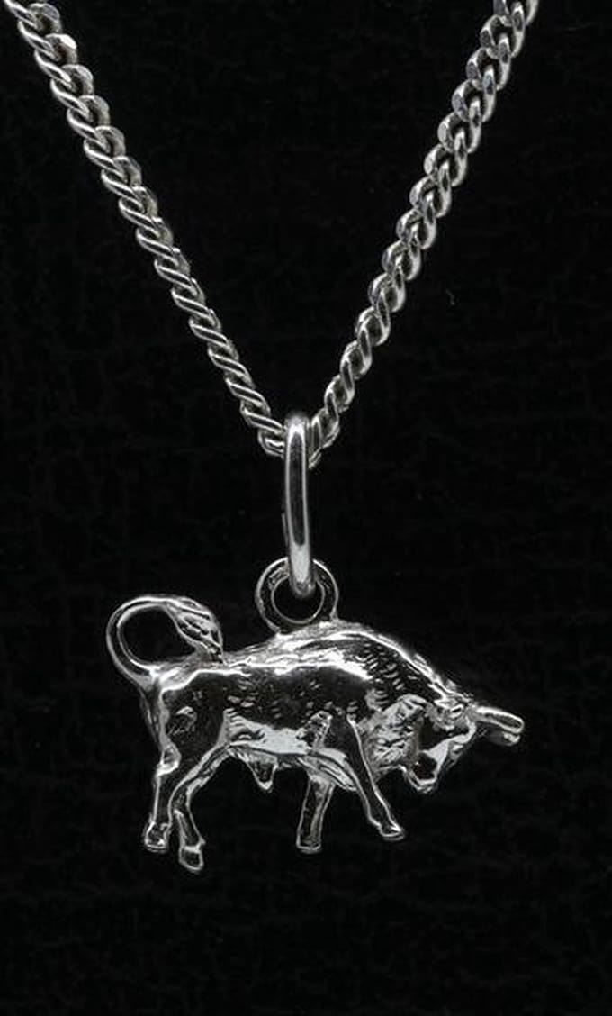 Zilveren Sterrenbeeld Stier ketting hanger - klein