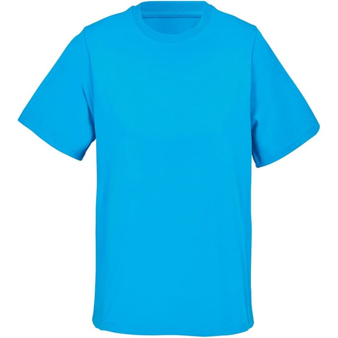 SOLS Dames/Dames Legend T-shirt (Aqua)