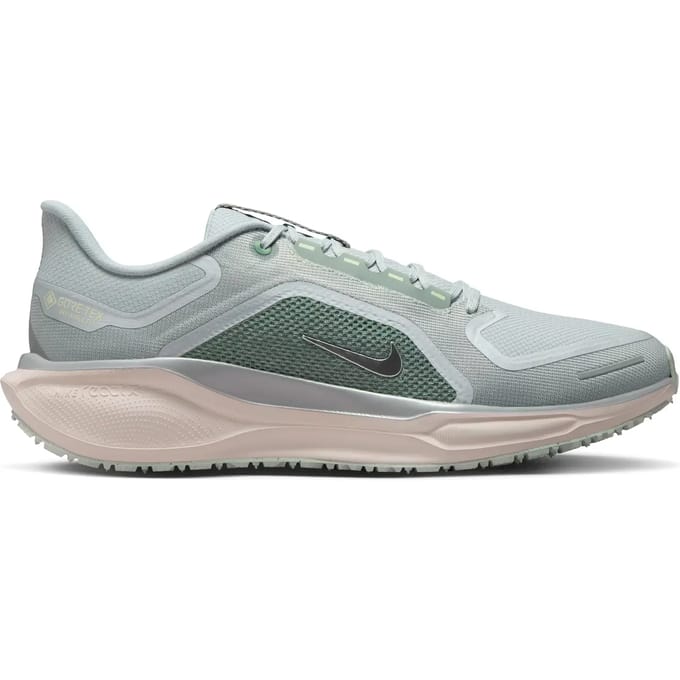 Hardloopschoenen Nike Pegasus 41 GORE-TEX