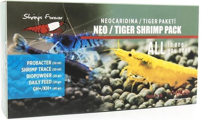 Shrimps Forever Neocaridina/Tiger Box