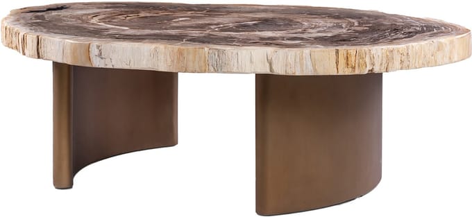 PTMD Yoel Natural Petrified Wood Coffeetable Brass Base