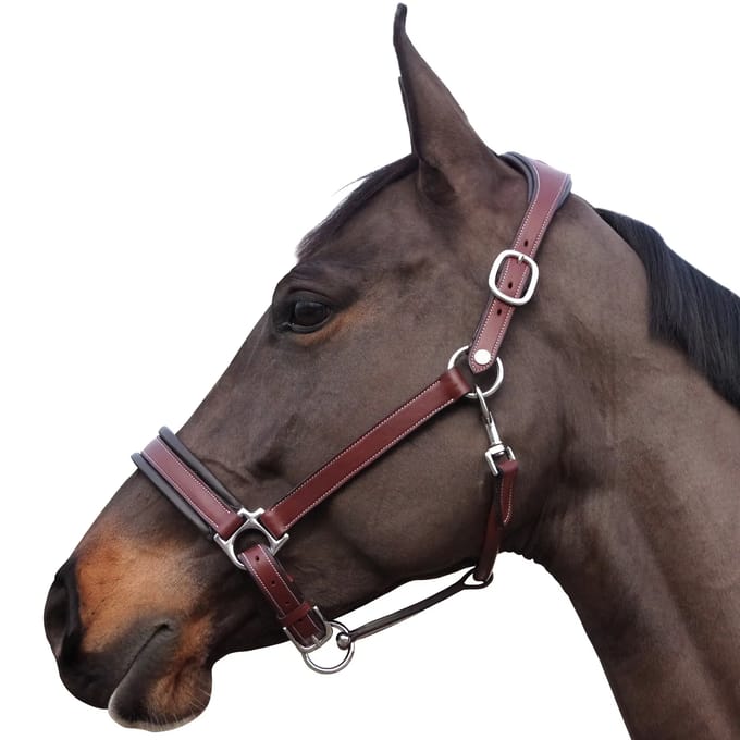 Halster voor paarden Flags&Cup Comfort