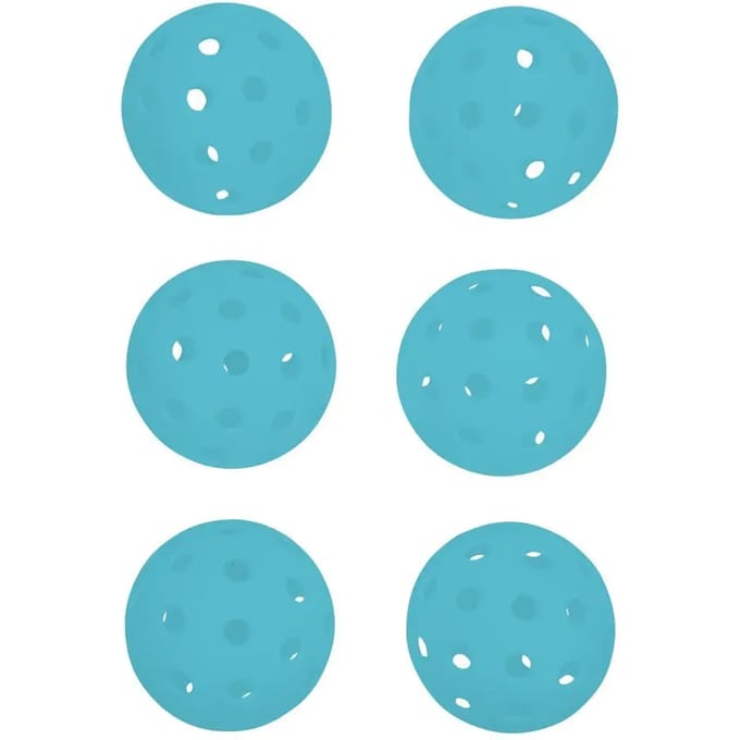 Buiten pickleball bal Pure4Fun (x6)